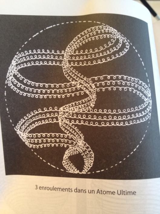 10431532_10203993370858568_8431432808269389816_n